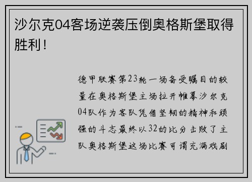 沙尔克04客场逆袭压倒奥格斯堡取得胜利！